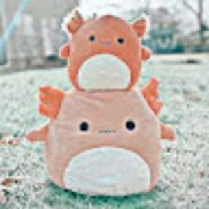 Meet your Posher, Katelyn